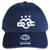 Unofficial DC Love Logo Dad Hat