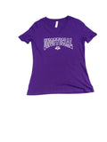 Women's V-neck Unofficial DC Arch Logo T-Shirts