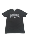 Men's Unofficial DC Arch Logo T-Shirts