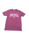 Men's Unofficial DC Arch Logo T-Shirts
