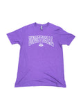 Men's Unofficial DC Arch Logo T-Shirts