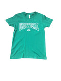 Kids Unofficial DC Arch Logo T-Shirts