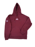 Men's DC Love Embroidered Logo Premium 450 gm Cross-Grain Heavyweight Hoodies