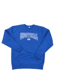 Men's Unofficial DC Arch Logo Heavyweight Crewneck Sweatshirts